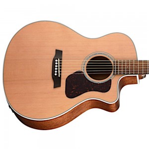 Walden G770CE Natura All-Solid Cedar-Mahogany Grand Auditorium Acoustic Cutaway
